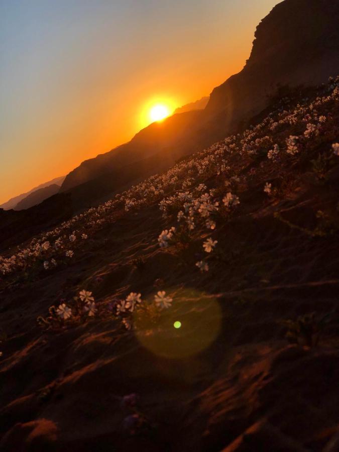 Hotel Star Walk Camp & Tours Wadi Rum Esterno foto